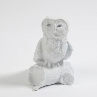 Owl On Branch-Matte White