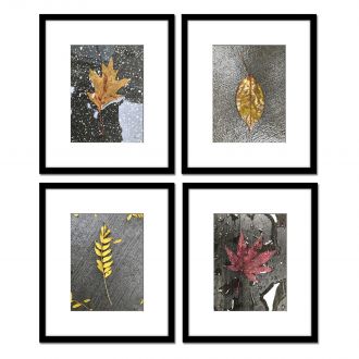 Len Prince Photography-Leaf Series